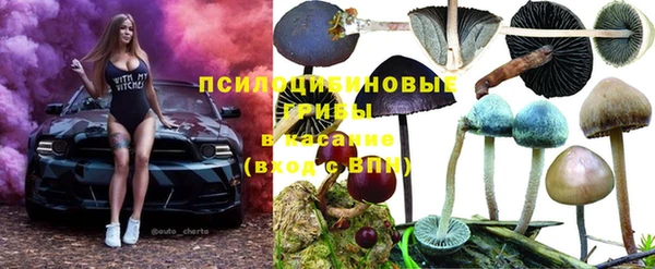 а пвп мука Алзамай