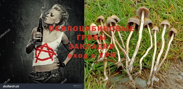 а пвп мука Алзамай