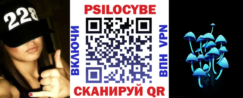 это клад  гидра маркетплейс  Асино  Псилоцибиновые грибы Psilocybe 